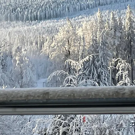 Roma Przy Wyciagu Na Szrenice Privatunterkunft Schreiberhau