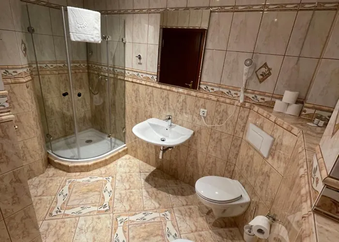 Roma Przy Wyciagu Na Szrenice * Schreiberhau