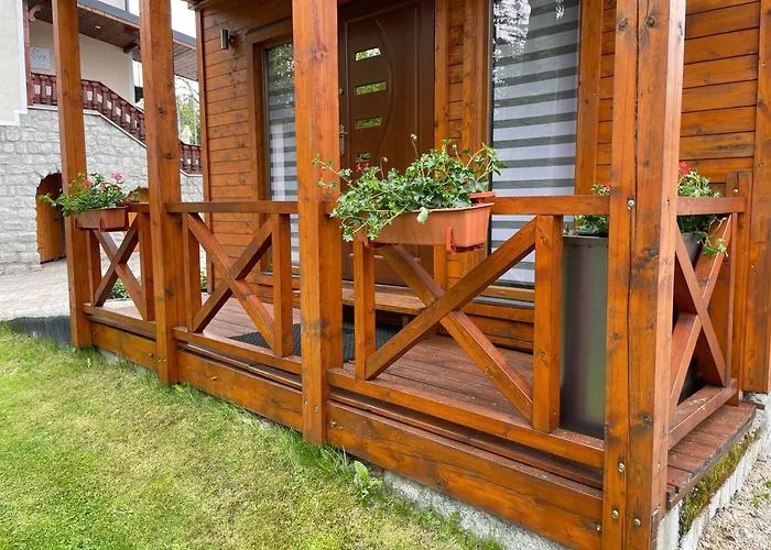 Roma Przy Wyciagu Na Szrenice *